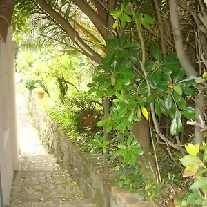 Sunflower Cosy - Il Girasole Holiday home